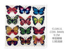 MARIPOSA CON IMAN48u/c