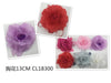 BROCHE/CLIP12u/c
