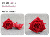BROCHE/CLIP12u/c